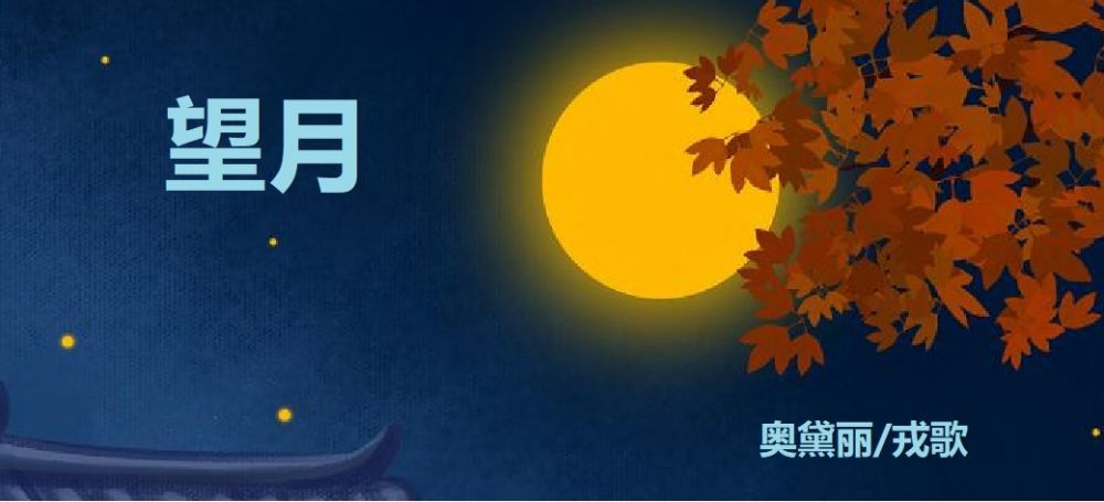 望月.jpg