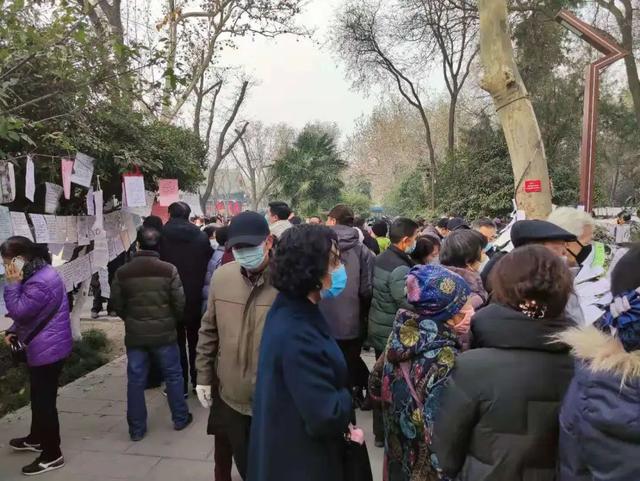 老年人相亲成内娱顶流：论搞对象，你大爷还是你大爷-12.jpg