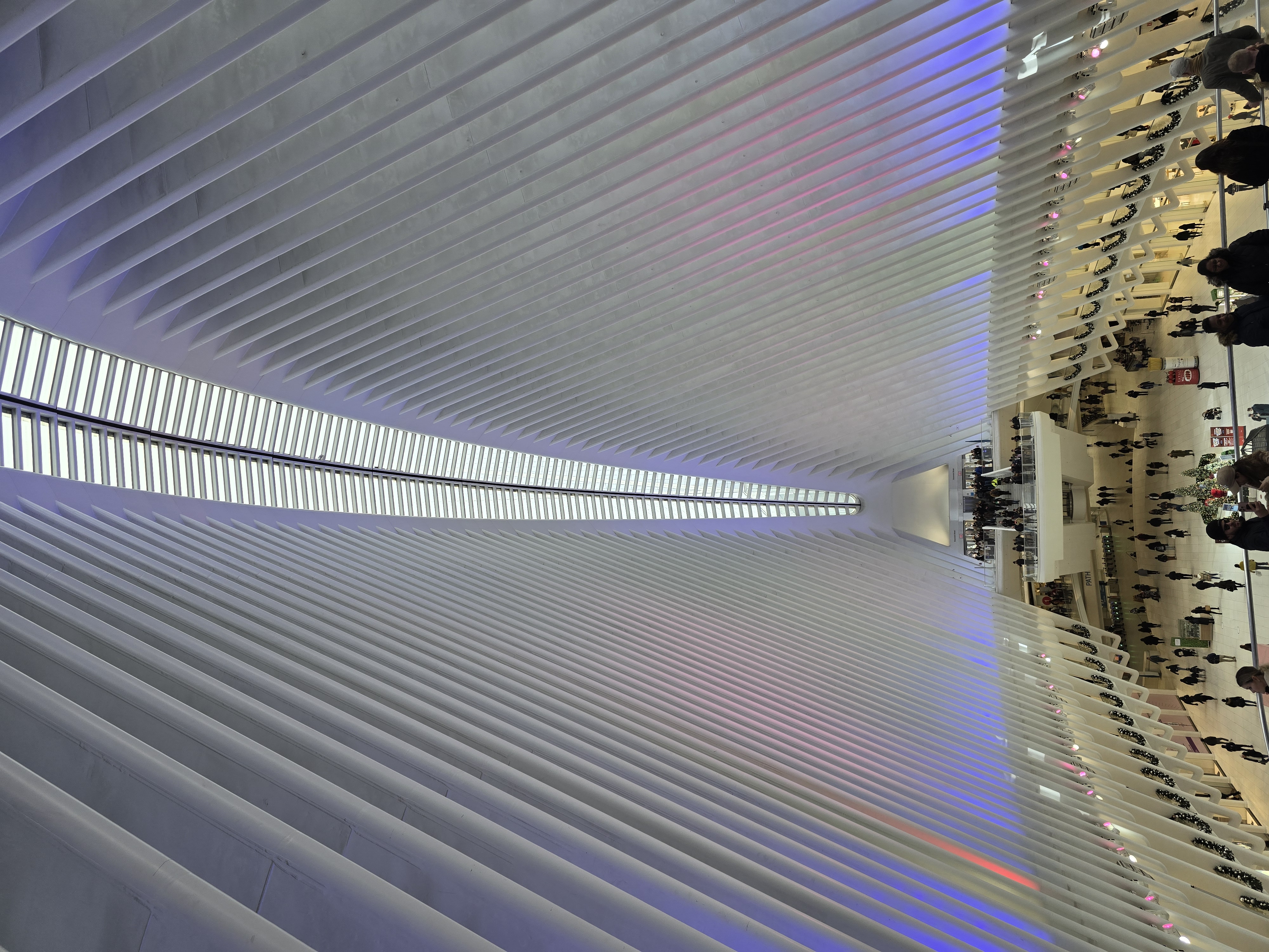 7A5D737E-8B85-483B-BF15-7AC935A2EC68.jpeg