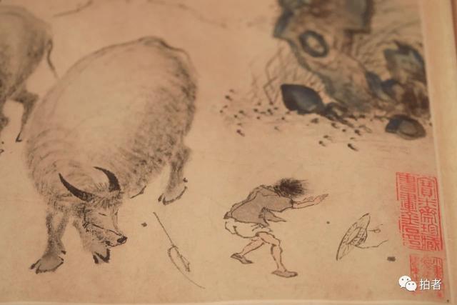 牛年，摄影师镜头里的“牛图”-14.jpg