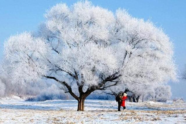 《雪之画卷：邂逅世间最美雪景》-1.jpg