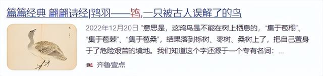看了鸨鸟怎么交配，才知道古代青楼的老板娘，为何都叫“老鸨”！-26.jpg