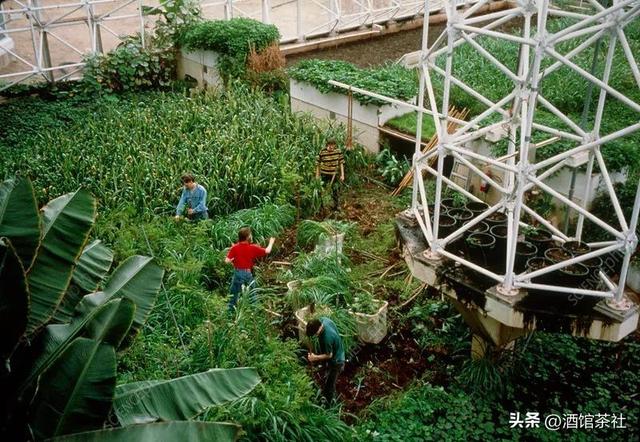 1991年，美国曾做实验：将4男4女关一起生活，结果如何?-4.jpg