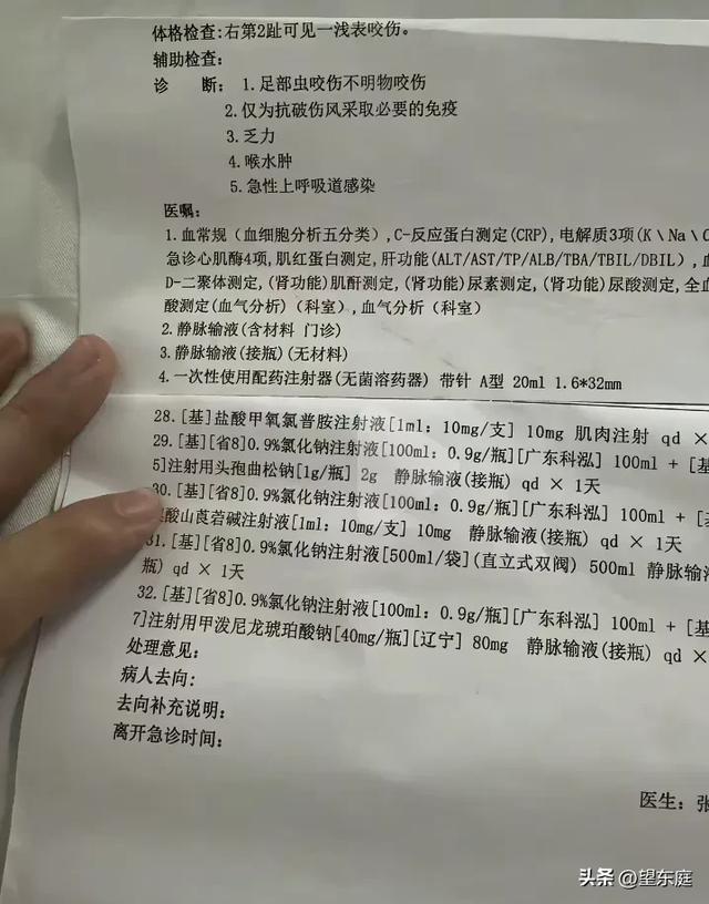 27岁女子在三亚被蛇咬后身亡：她长得温婉漂亮，是家中的独生女-3.jpg