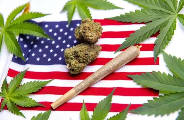 大麻合法、性交易开放，手握全球芯片命脉，这个国家颠覆你的认知-7.jpg