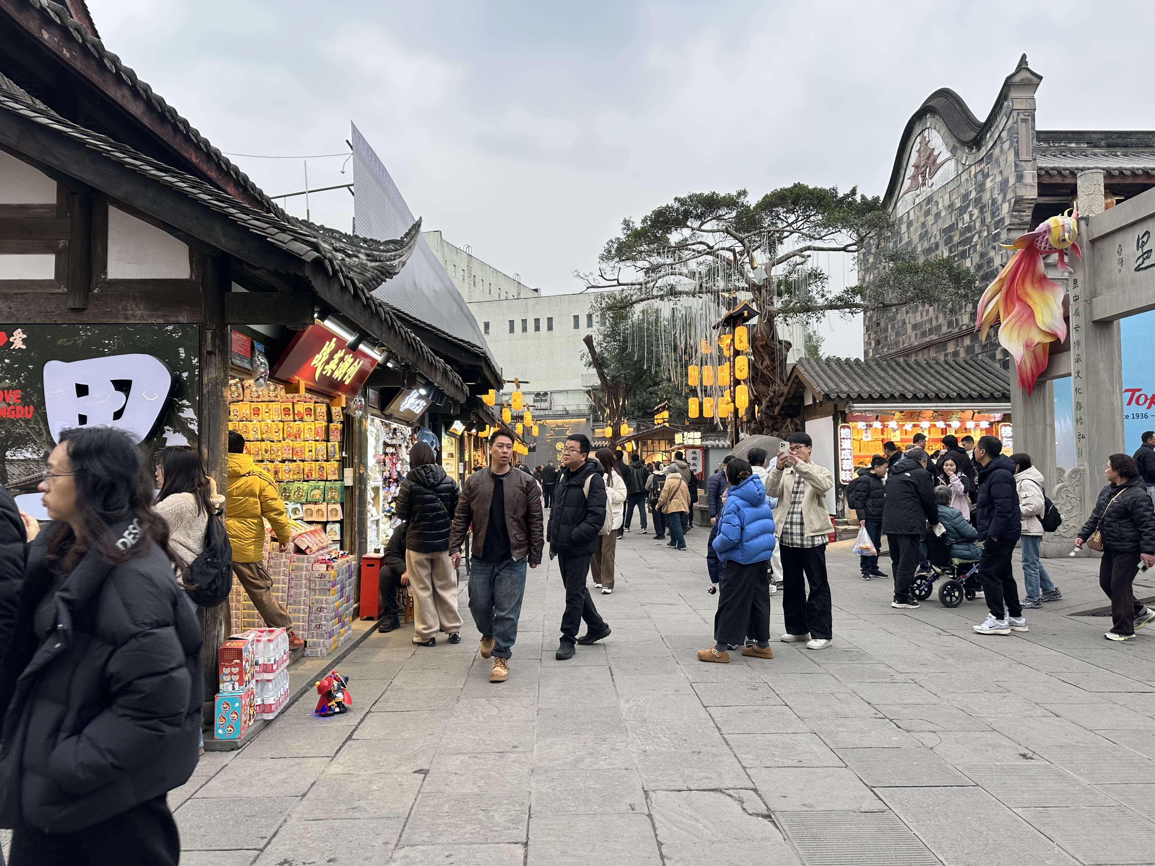 IMG_2137.jpeg