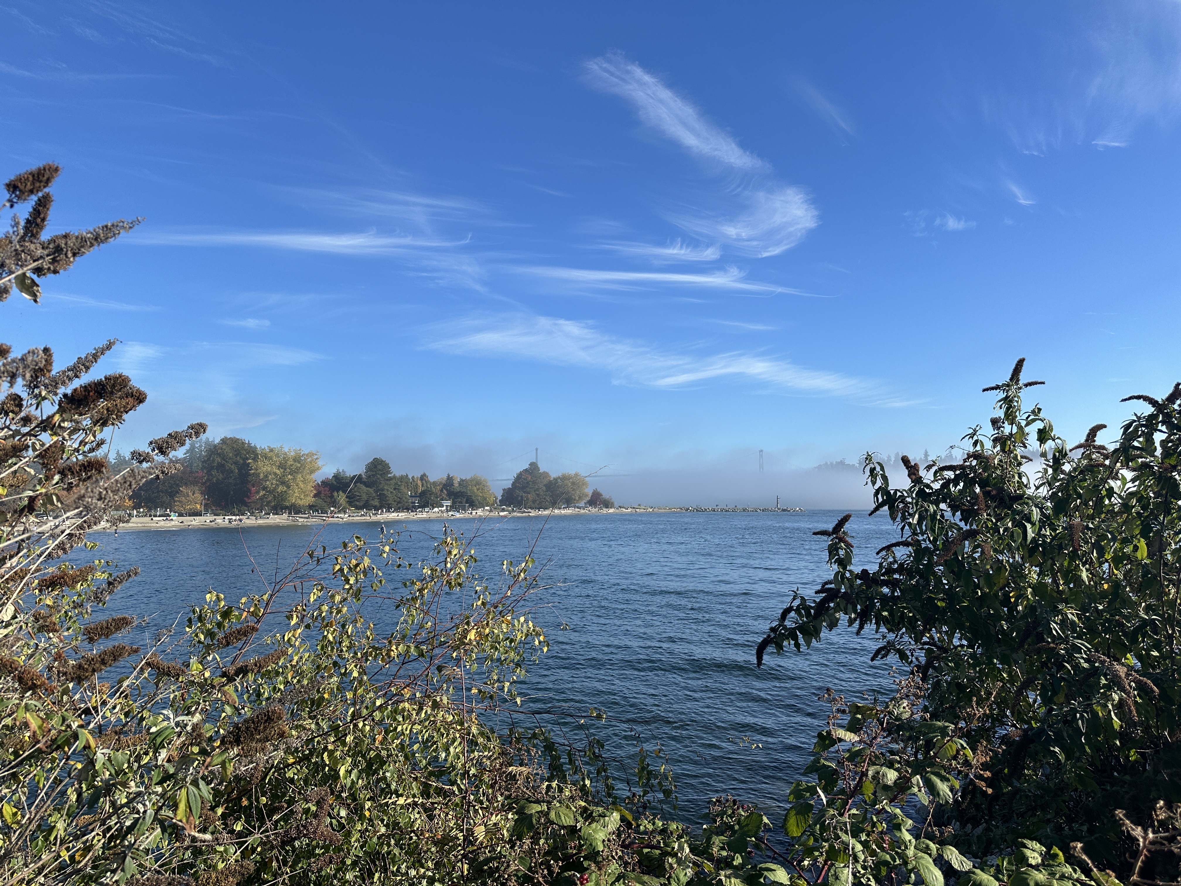 IMG_4922.jpeg