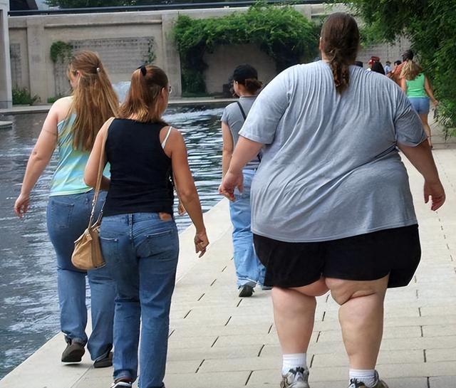 美国人的屁股为何人均一米宽？喂牲畜的饲料，全吃到了百姓的身上-1.jpg